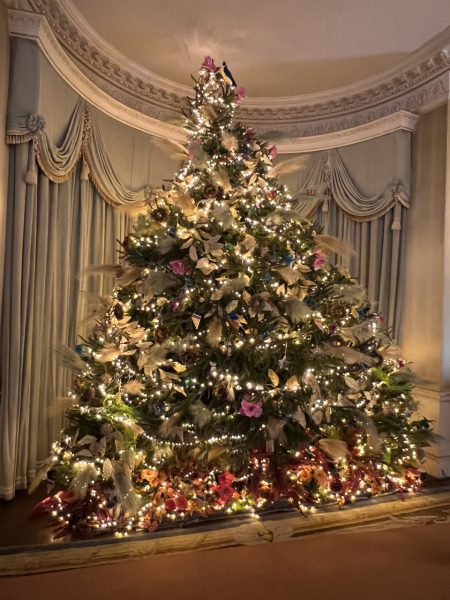 The ultimate SHOW US YOUR TREE megathread!