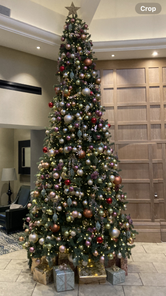 The ultimate SHOW US YOUR TREE megathread!