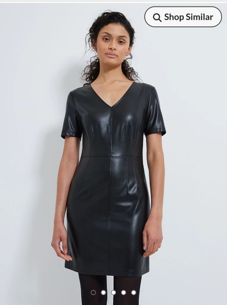 Opinions on this dress....Nice or tacky??