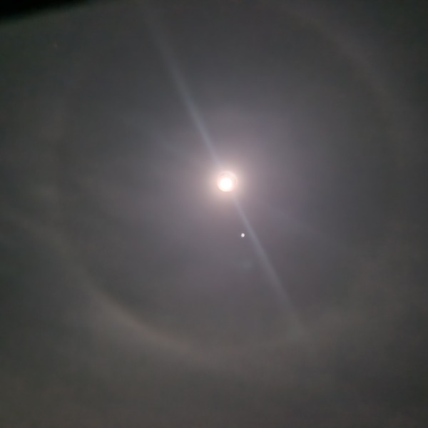 The Moon just now (pic)