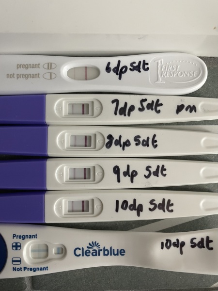Positive pregnancy test? 🤷🏻‍♀️