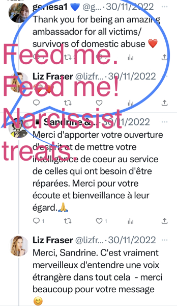 Is Liz Fraser helping all women or just herself?