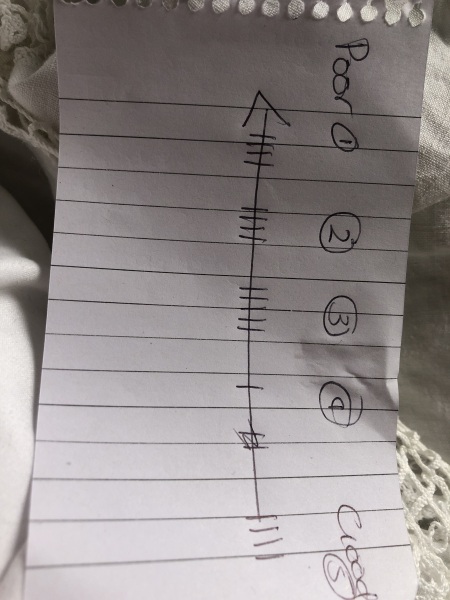 My old dog . Please help.