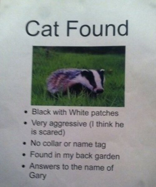 People who pick up ‘lost cats’