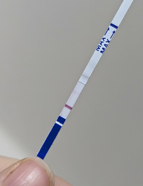 TWW - 2DPO who's with me?