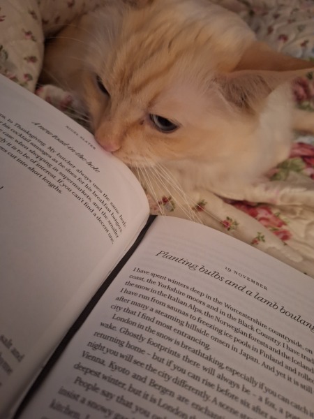 Nigel Slater Christmas Chronicles Annual Read along 2023