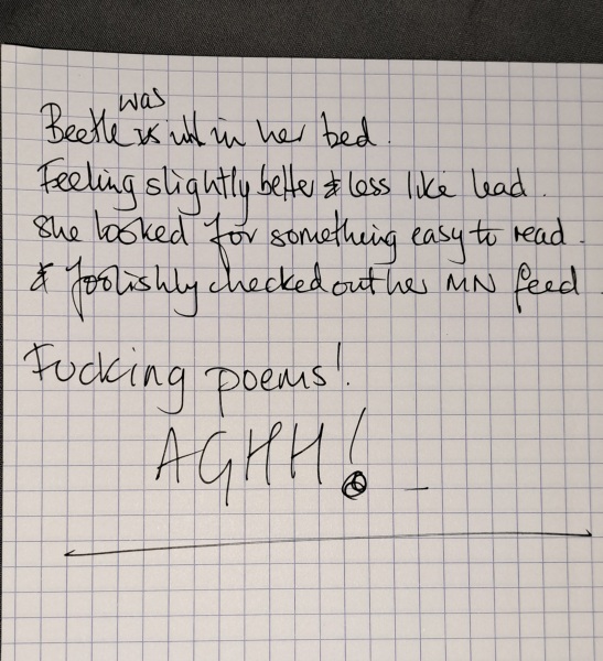 Lurking Merkins - Volume Two of Under the Duvet of Darkness