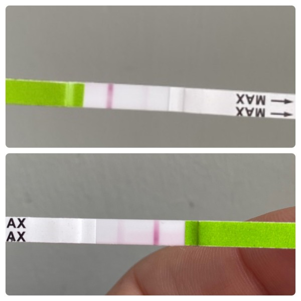 Pregnancy test
