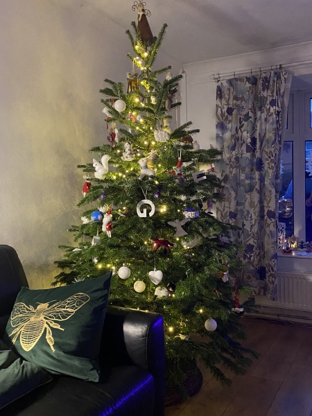 The ultimate SHOW US YOUR TREE megathread!