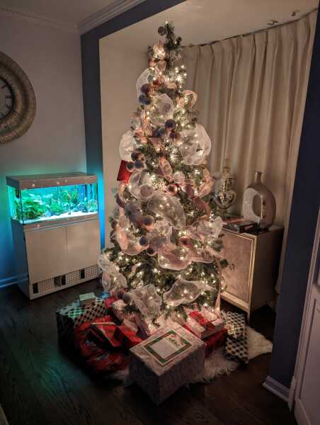 The ultimate SHOW US YOUR TREE megathread!