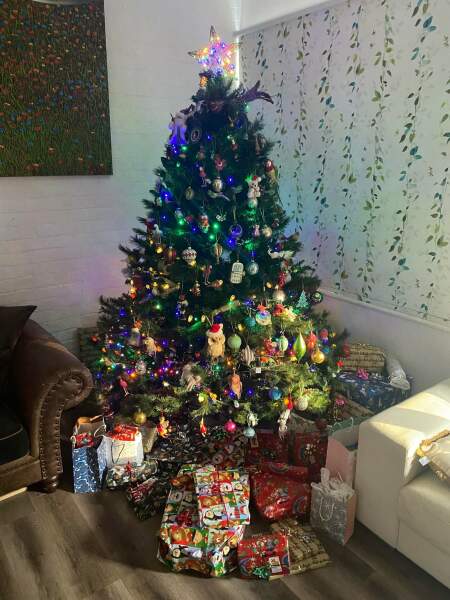 The ultimate SHOW US YOUR TREE megathread!