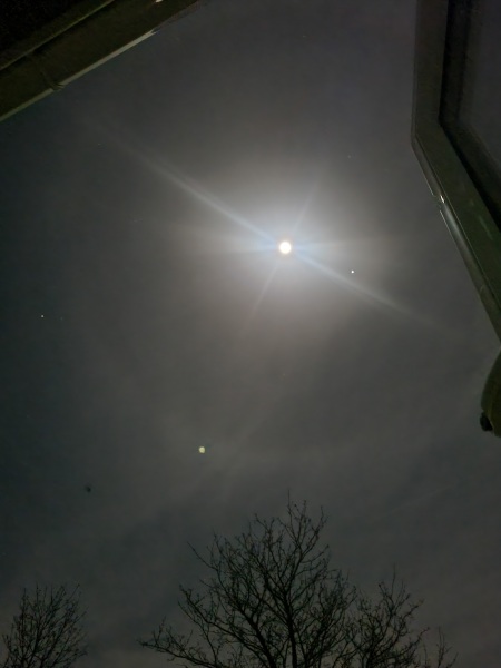The Moon just now (pic)