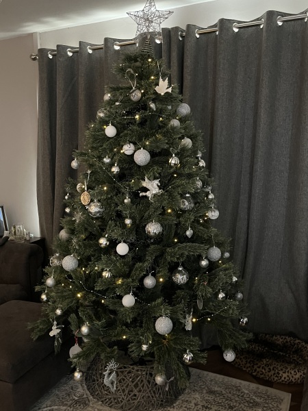Iv gone and put my tree up