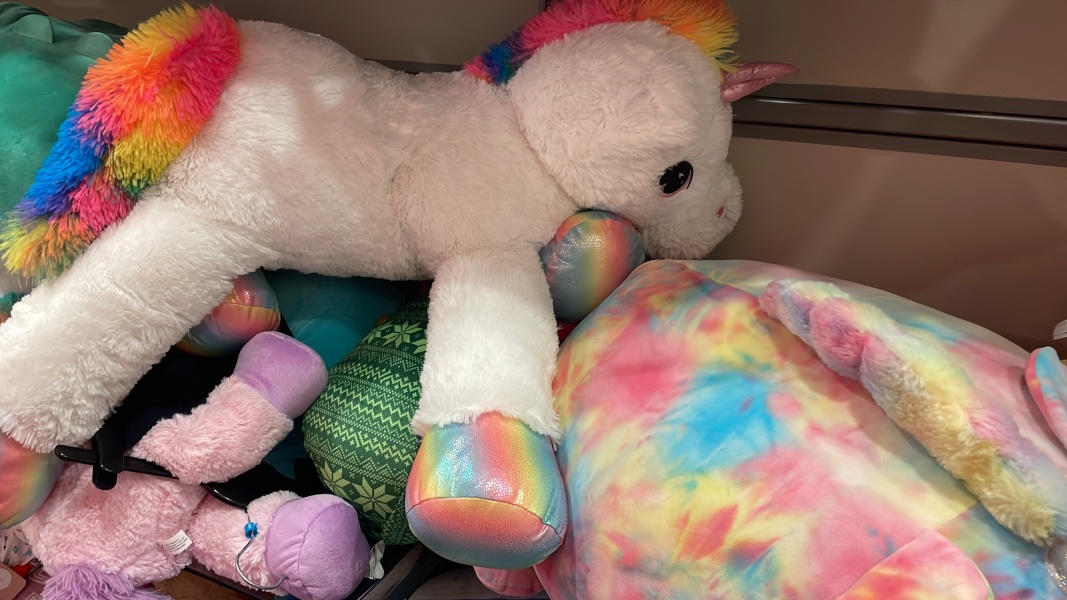 Thread 14 - the one where we track our Fahlo turtles while snuggling under our heated blankets