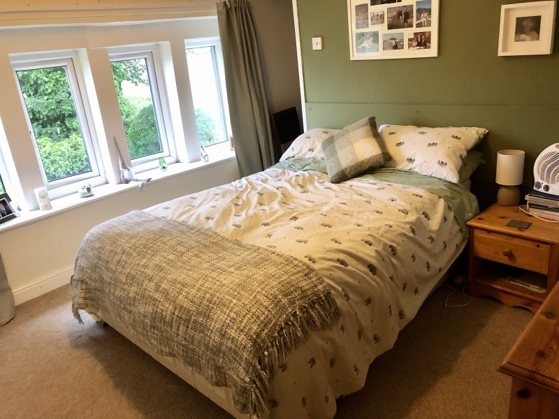 Paint colour suggestions