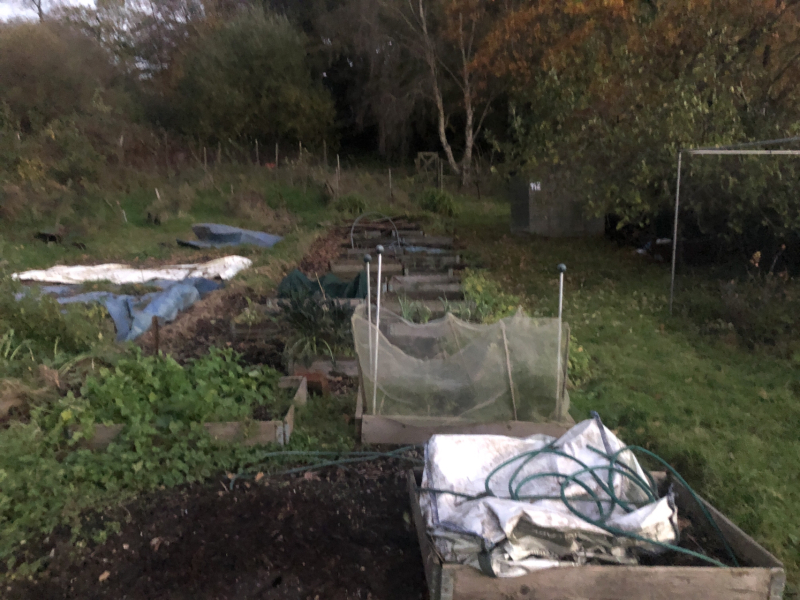 Numbers up on allotment list!
