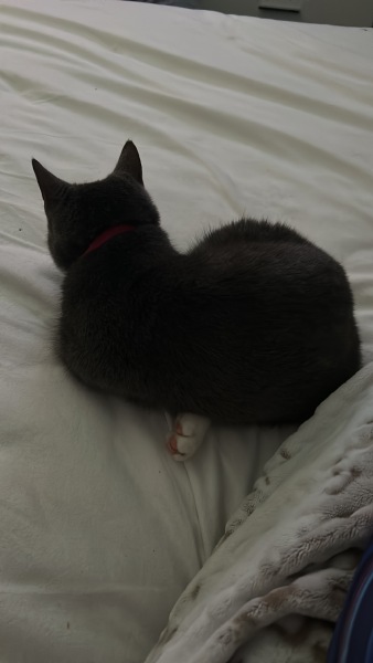 Let's see your best "Loaf of Doom" pics!