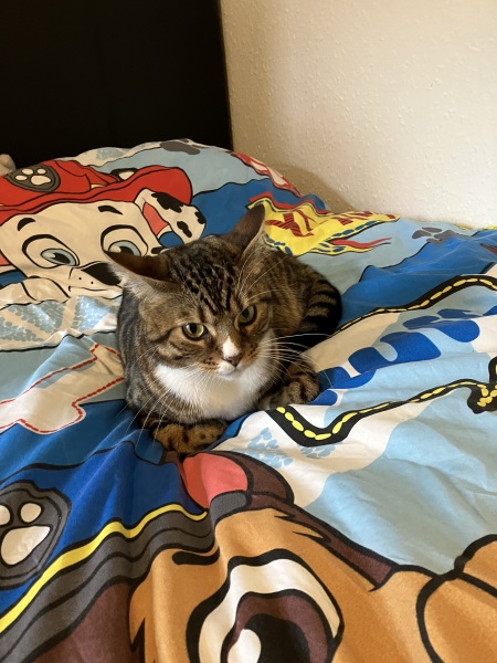 Let's see your best "Loaf of Doom" pics!