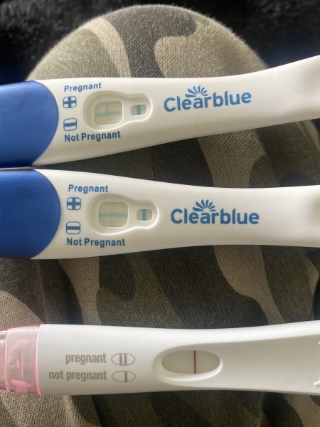 Clear blue test. Evap line or positive