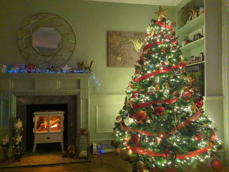 The ultimate SHOW US YOUR TREE megathread!