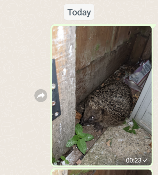 Come and tell me your dull and unexciting news 27: Calmly through the day