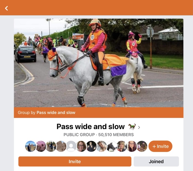 To think I shouldn’t have to stop my run to walk past a horse?