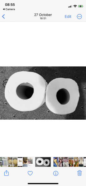 To ration the toilet paper