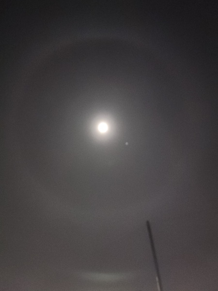 The Moon just now (pic)