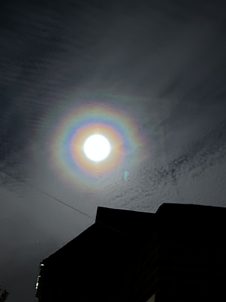 The Moon just now (pic)