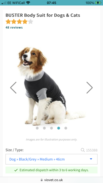 KCC getting spayed.  Surgery suit recs pls (and any recovery tips)