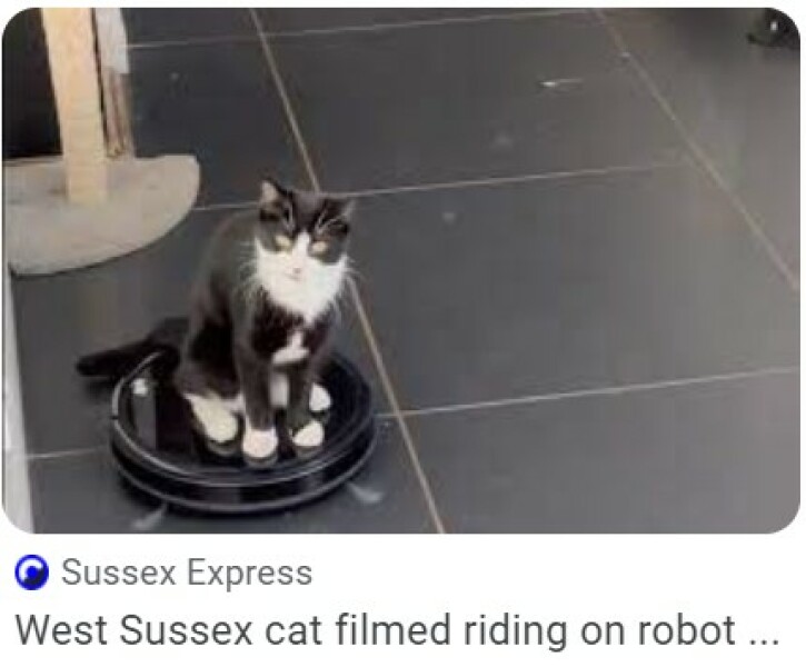 Robot Vacuum Cleaners