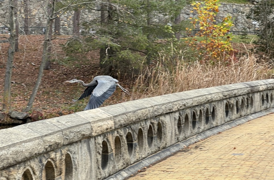 Come and tell me your dull and unexciting news 27: Calmly through the day