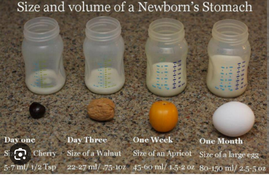 How much does your newborn formula fed baby drink?