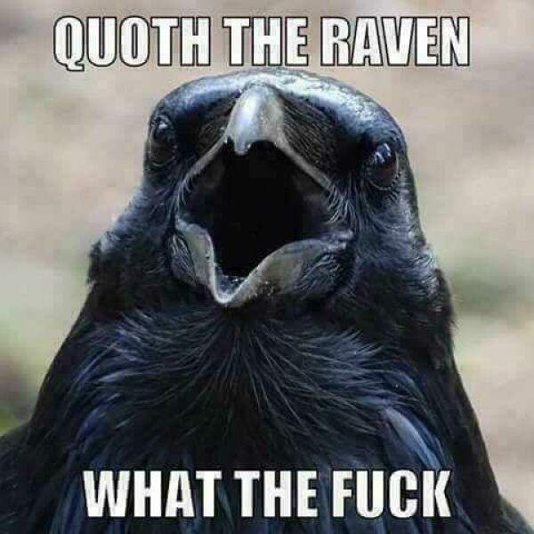 Flashing or naturist?