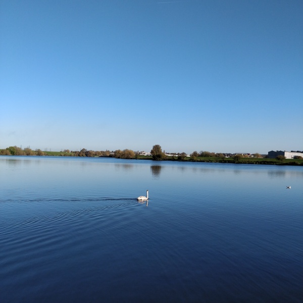 Are you also thoroughly fed up with this never ending dismal, miserable November weather ?