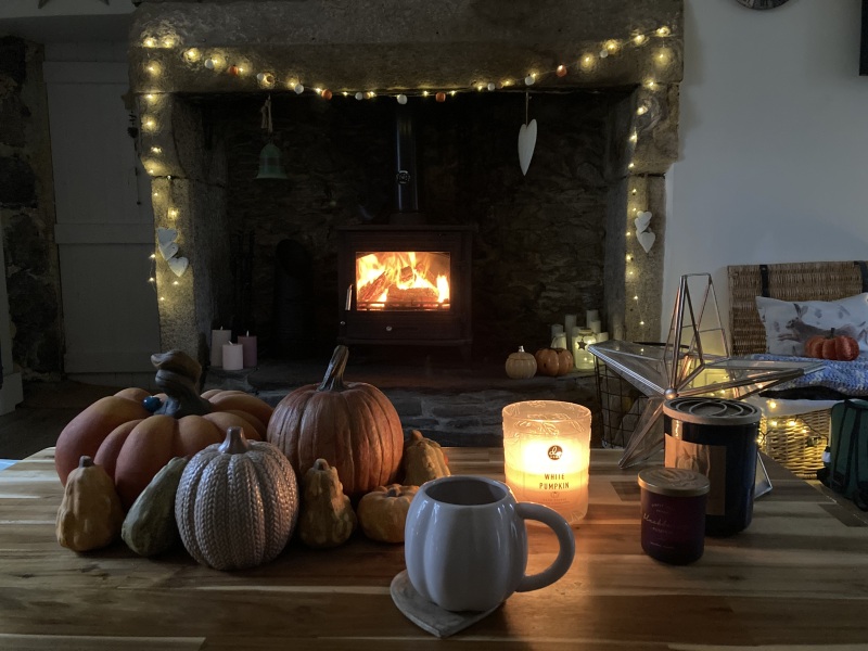 Fireplaces and logburners - have you got yours lighted yet?