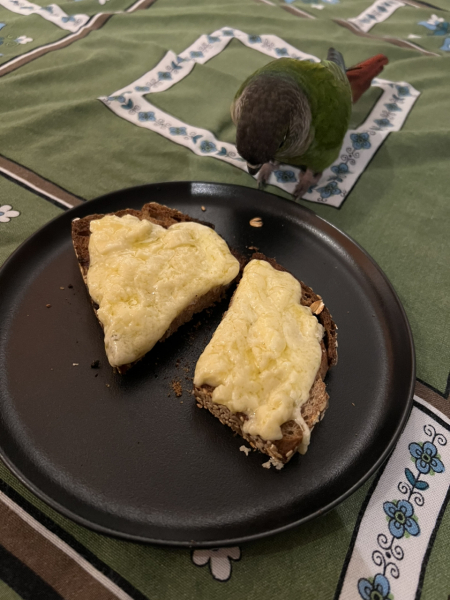 World War 2 Rationing Challenge: too much food?