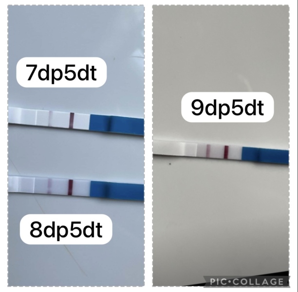 10dpo bfp?