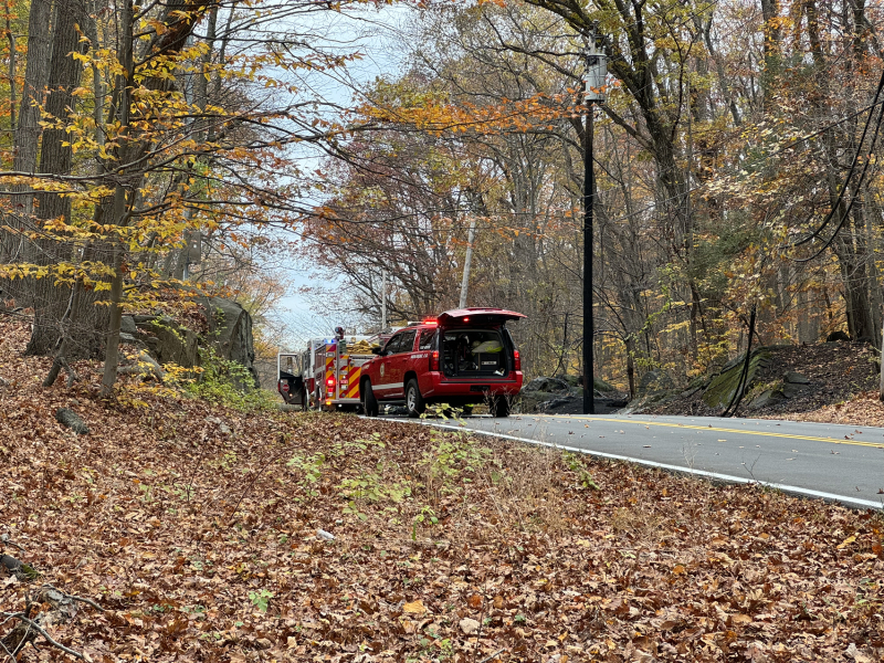 Come and tell me your dull and unexciting news 27: Calmly through the day