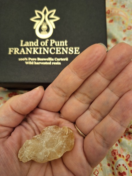 Nigel Slater Christmas Chronicles Read Along 2023 - Part Two