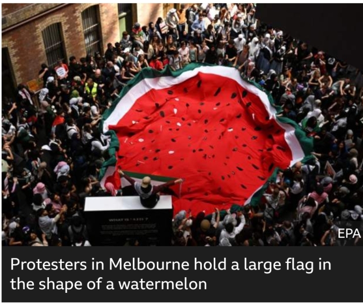 Support to Gaza/Palestine around the world