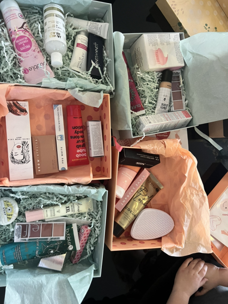 Thread 14 - the one where we track our Fahlo turtles while snuggling under our heated blankets