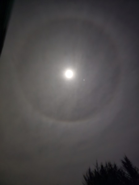 The Moon just now (pic)