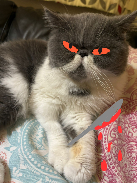 Potential new inmate at Toddler Towers.