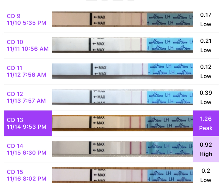 TTC using OPK have we Dtd at the right time?