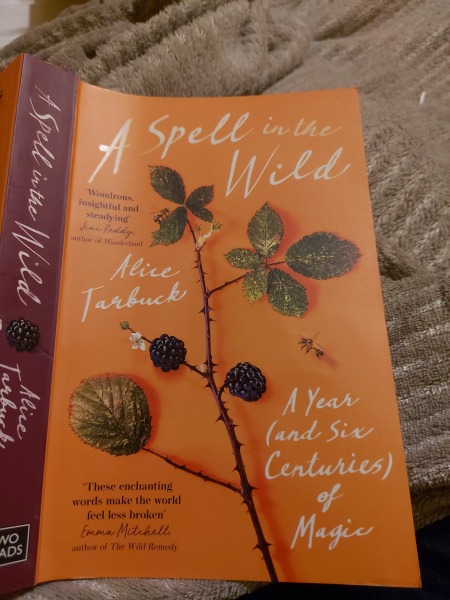 Any Witches Here?- Part 19