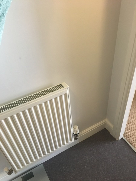 What colour for bathroom? Pics included