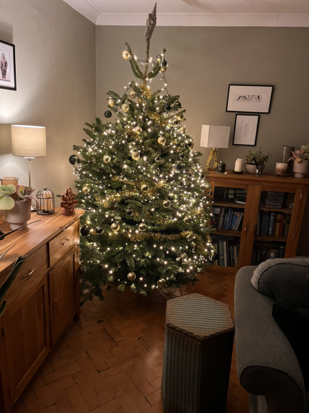 The ultimate SHOW US YOUR TREE megathread!