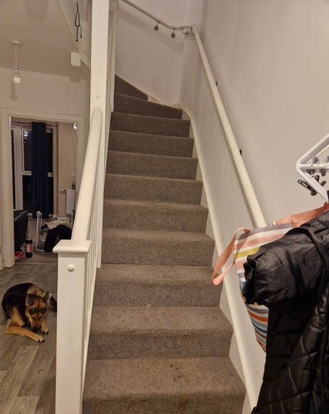 House is still a shithole. Pic included