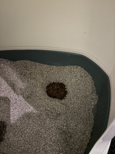 What could cause this.
